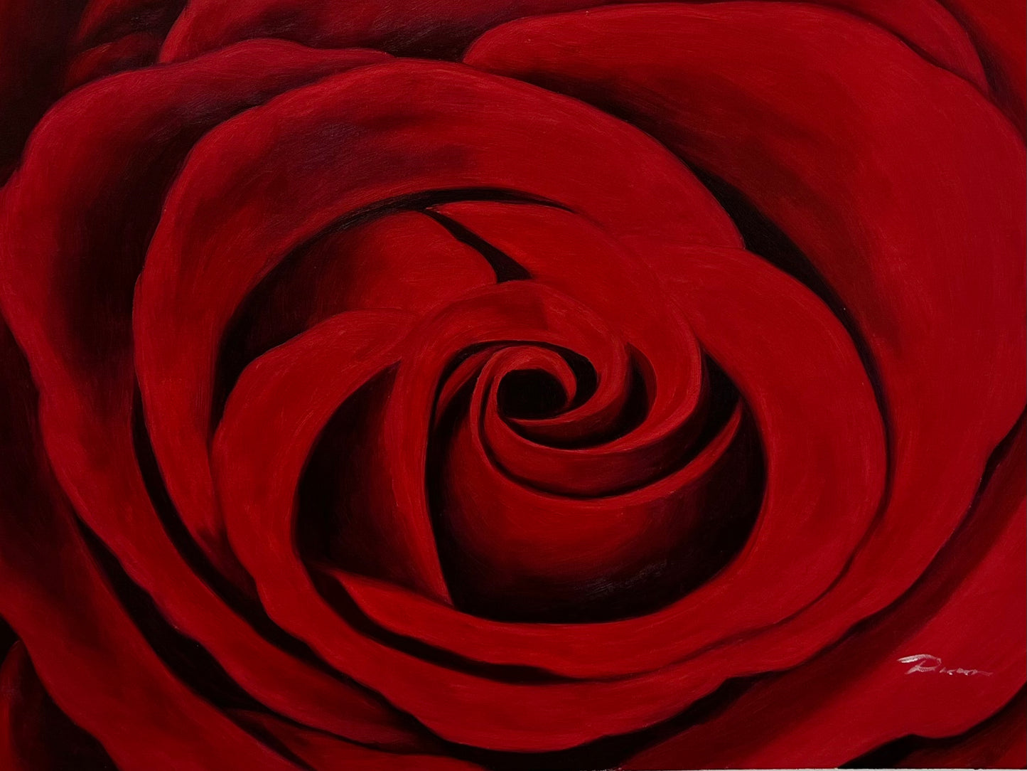 Red Rose 24 x 36